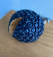 /album/bildgalleri/tryffel-3-jpg/